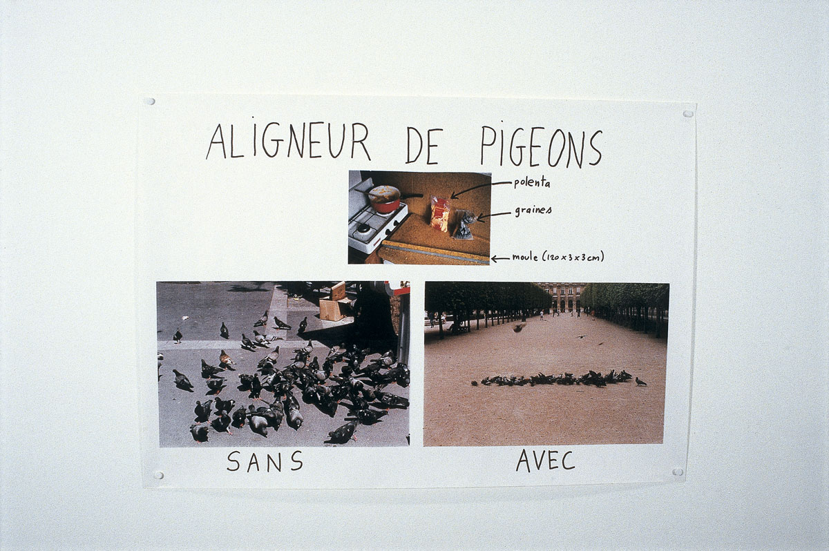 1996-ALIGNEUR-DE-PIGEONS.jpg